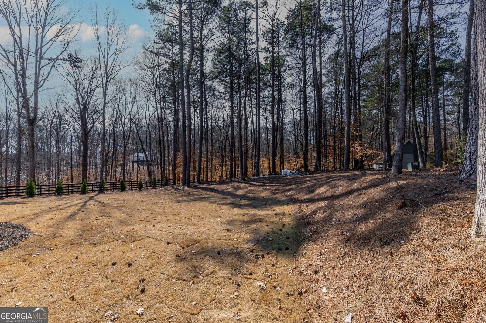 1258 Prospect Road Lawrenceville - Photo 48