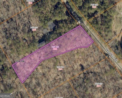 1258 Prospect Road Lawrenceville - Photo 49