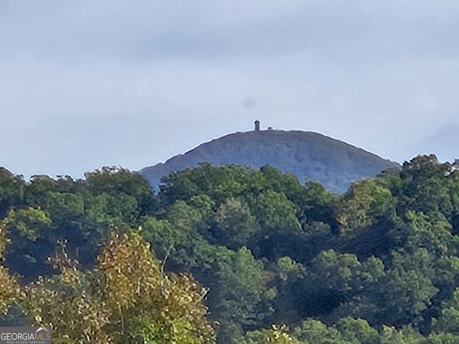 368 Ivy Log Heights Road Young Harris - Photo 50