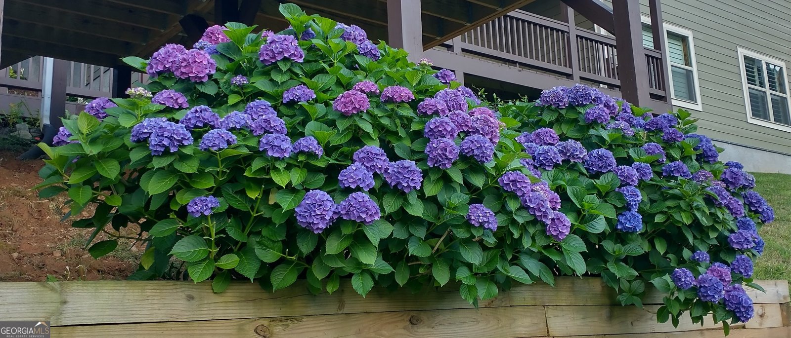 368 Ivy Log Heights Road Young Harris - Photo 70