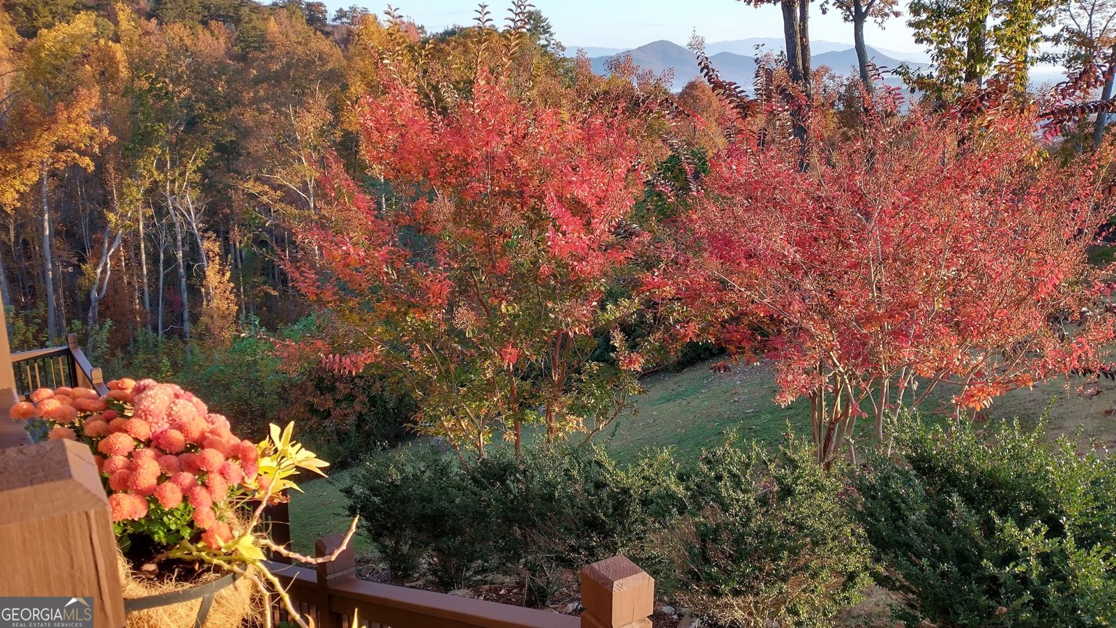 368 Ivy Log Heights Road Young Harris - Photo 73