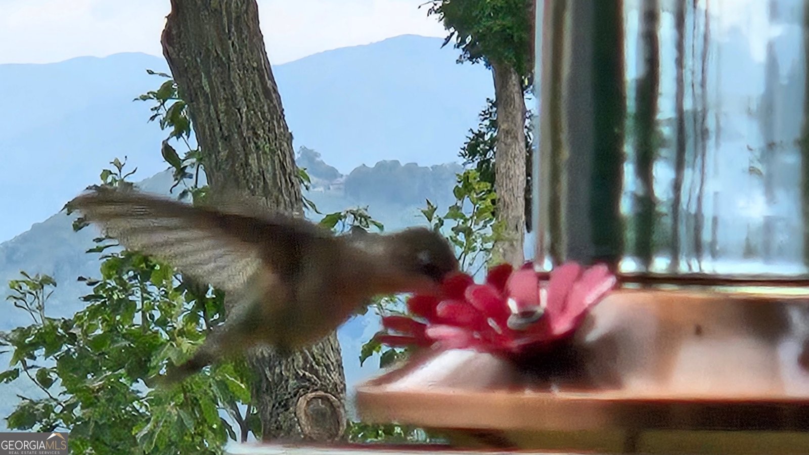 368 Ivy Log Heights Road Young Harris - Photo 83