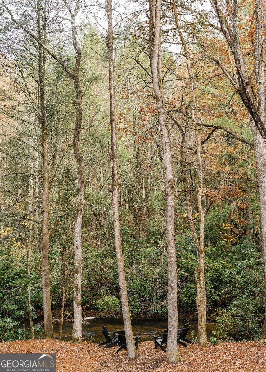 340 Hemlock Trail Blue Ridge - Photo 78