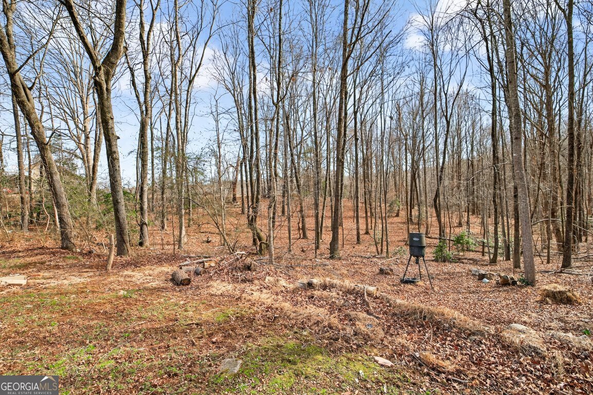 818 Dean Mountain Road Cleveland - Photo 34