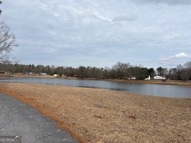 461 Lakeview Road Rockmart - Photo 29