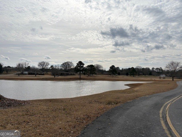 461 Lakeview Road Rockmart - Photo 30