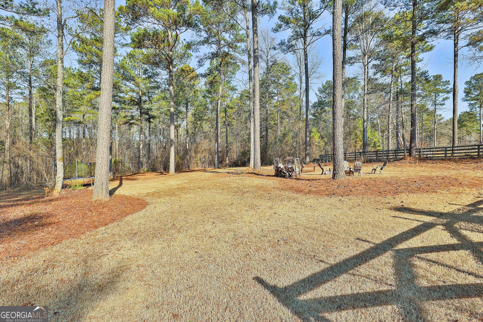 103 Fox Hall Crossing Senoia - Photo 89