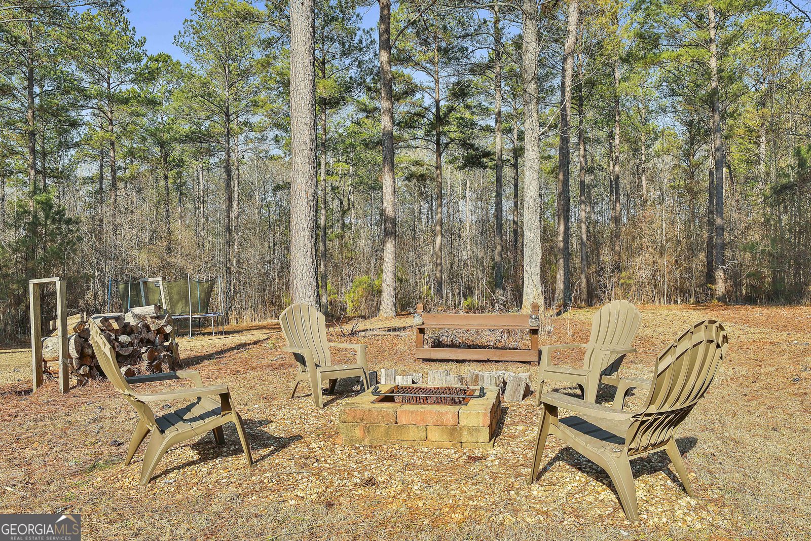 103 Fox Hall Crossing Senoia - Photo 93