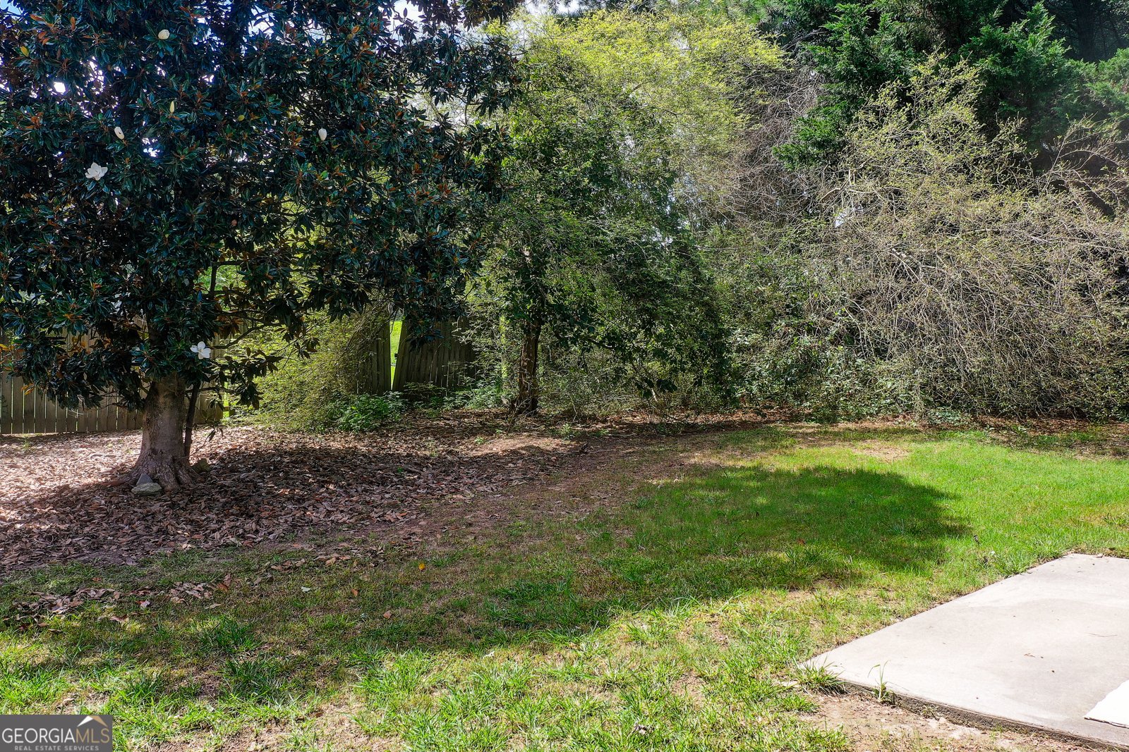 2585 Freemans Walk Drive Dacula - Photo 26