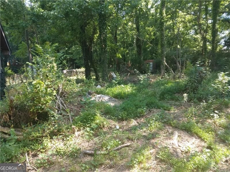 1122 West Avenue Atlanta - Photo 1