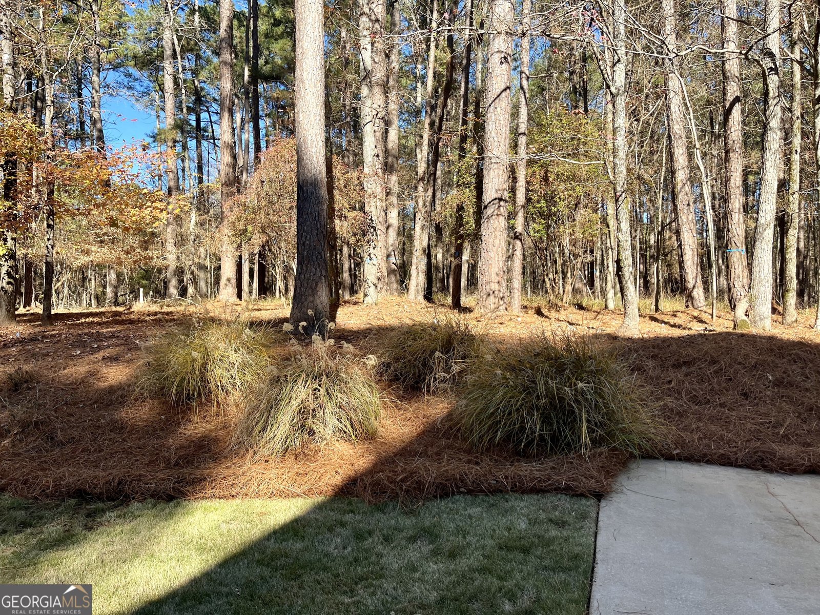 1211 Club Cove Drive GREENSBORO - Photo 26