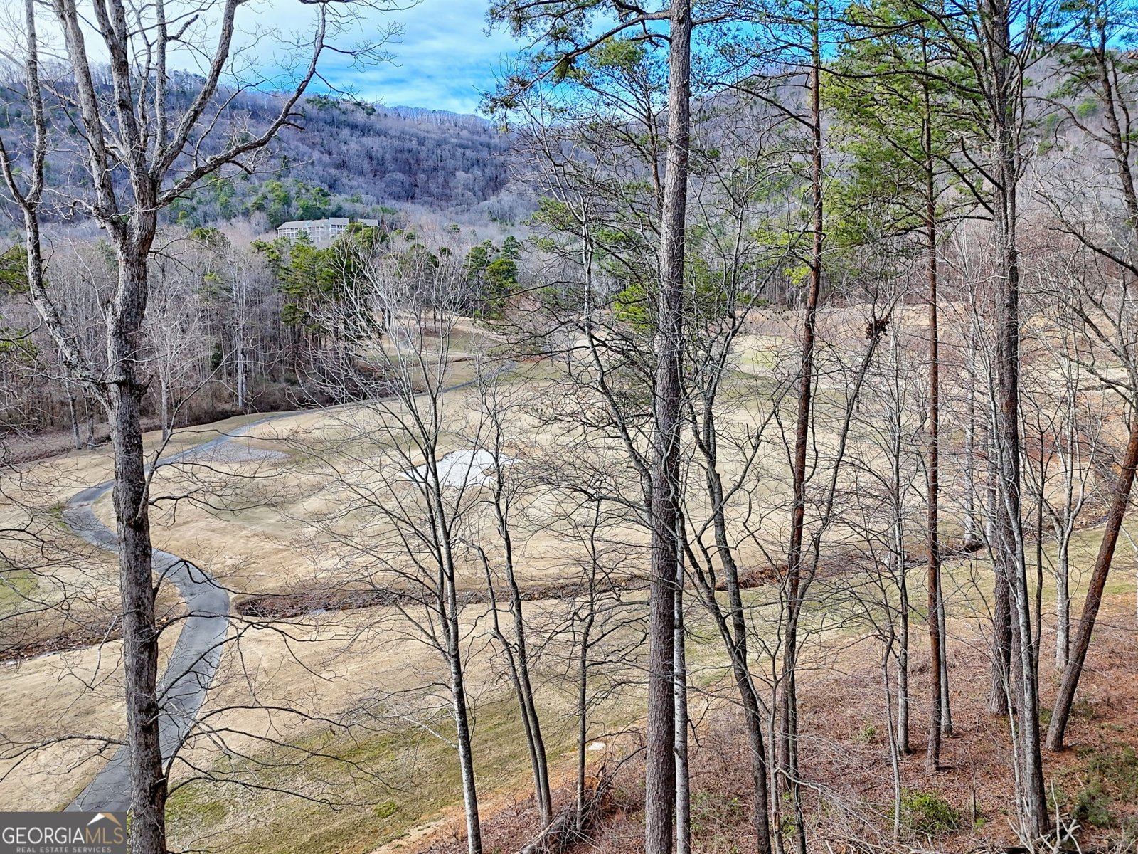 227 Shakespeare Drive Clayton - Photo 52