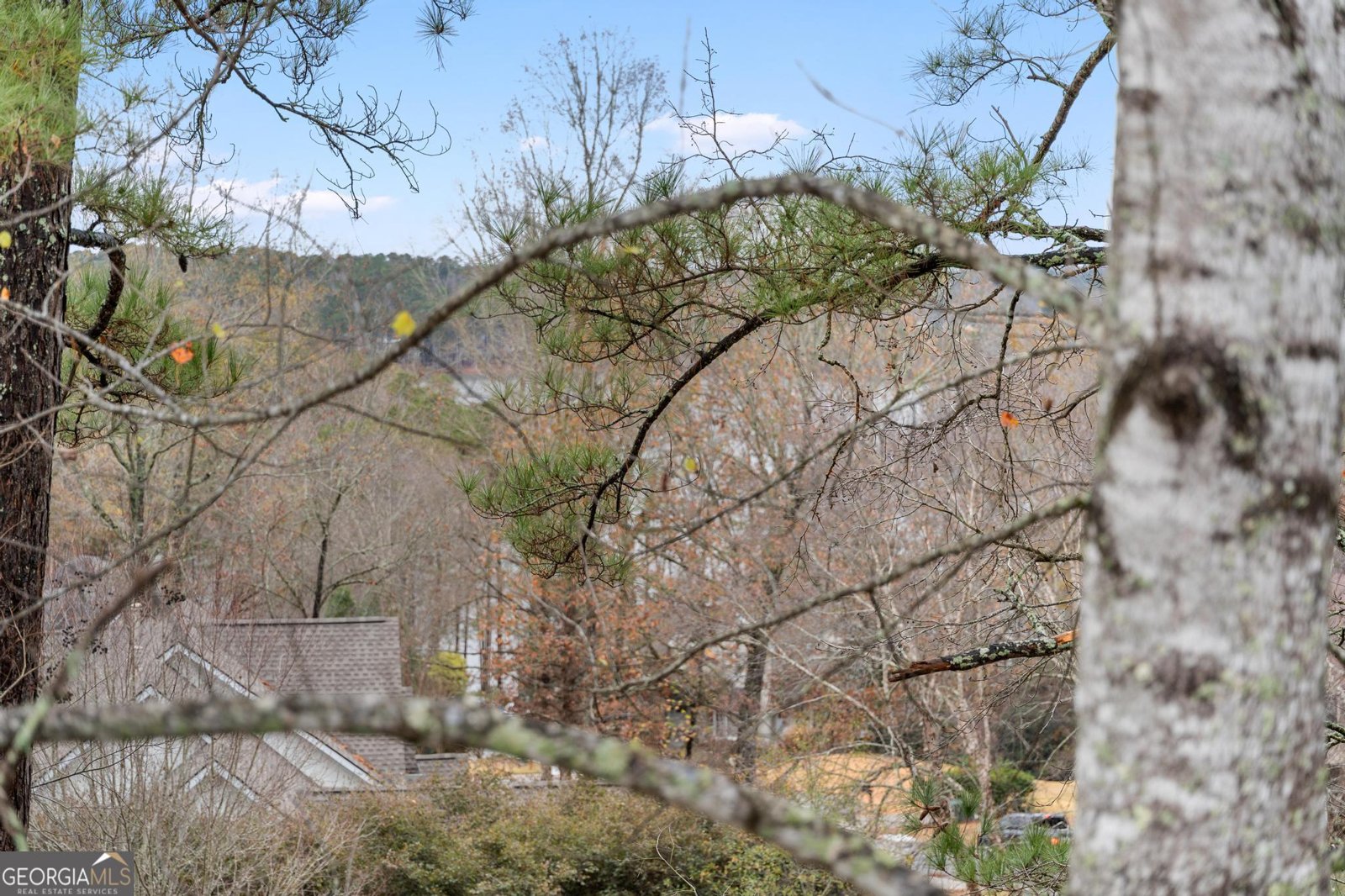 833 Southern Shore Drive Peachtree City - Photo 58