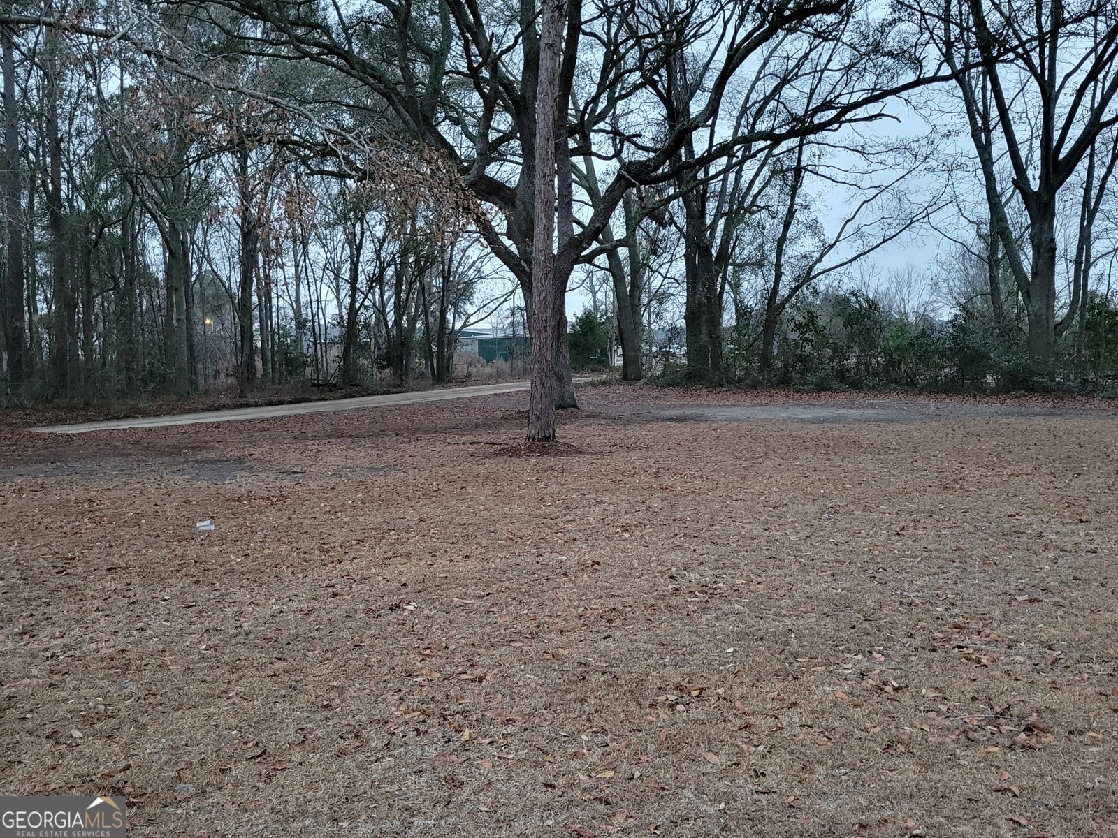 2470 Old Reidsville Collins Road Collins - Photo 13