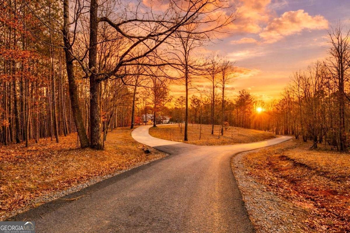 430 Cajun Drive Ellijay - Photo 64