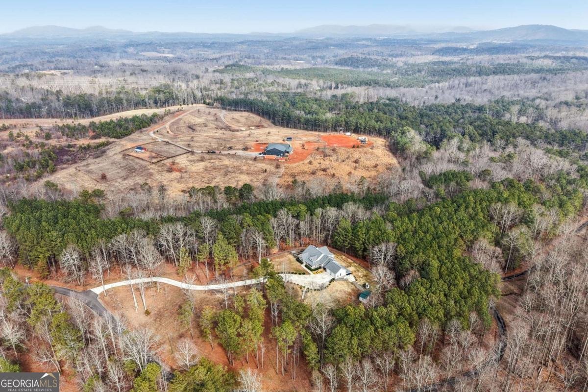 430 Cajun Drive Ellijay - Photo 78