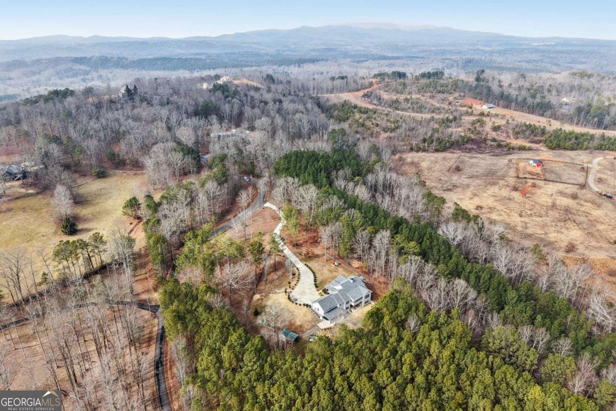 430 Cajun Drive Ellijay - Photo 79