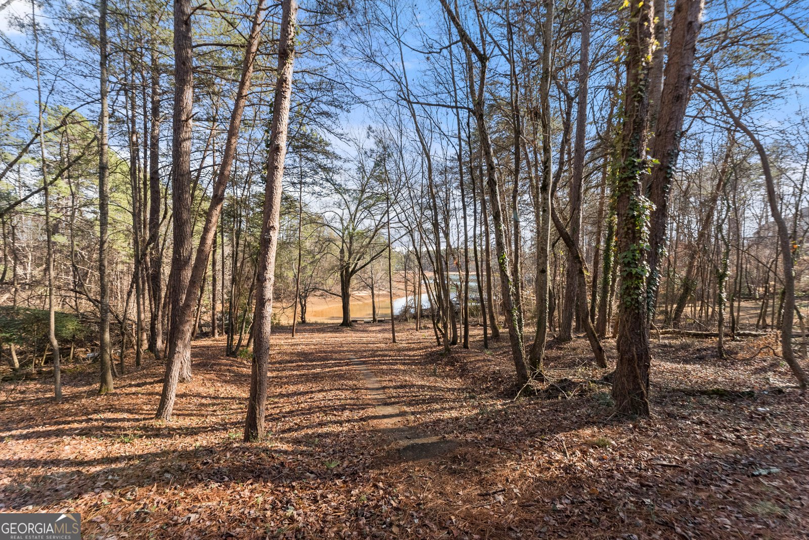 4045 Merritt Drive Cumming - Photo 52