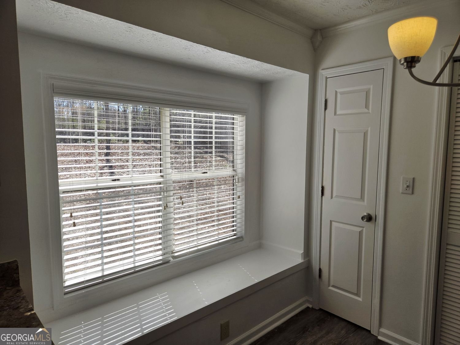 1703 Windy Ridge Court Conyers - Photo 10