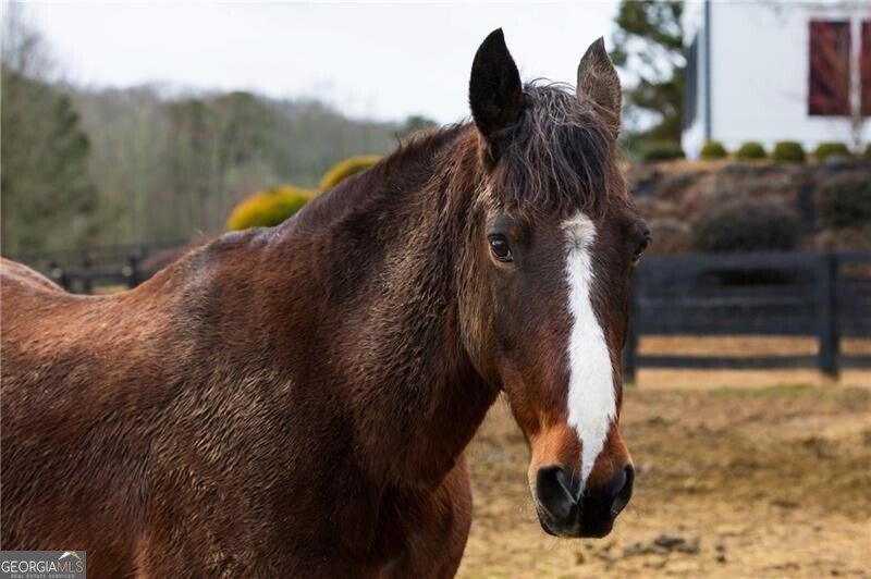 100 Hunting Valley Trail Cumming - Photo 75
