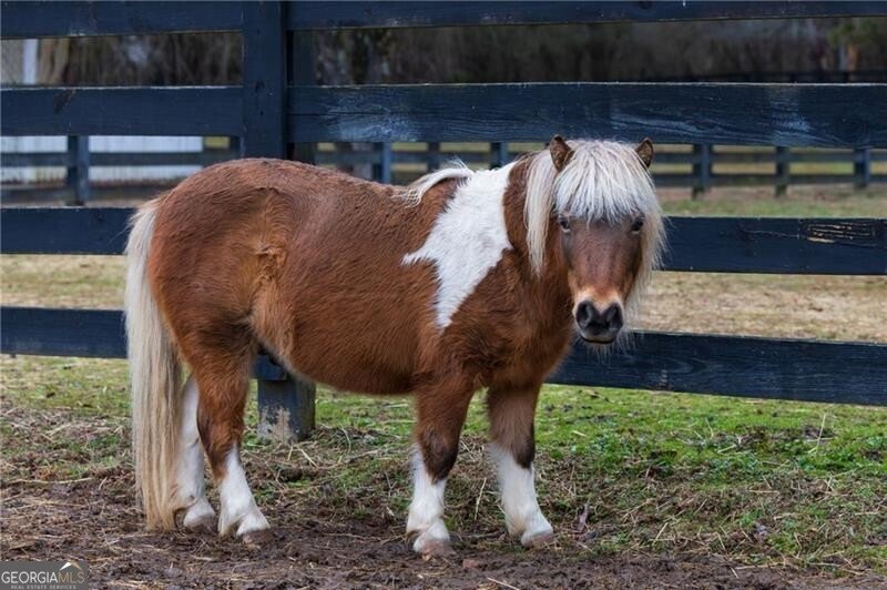 100 Hunting Valley Trail Cumming - Photo 77