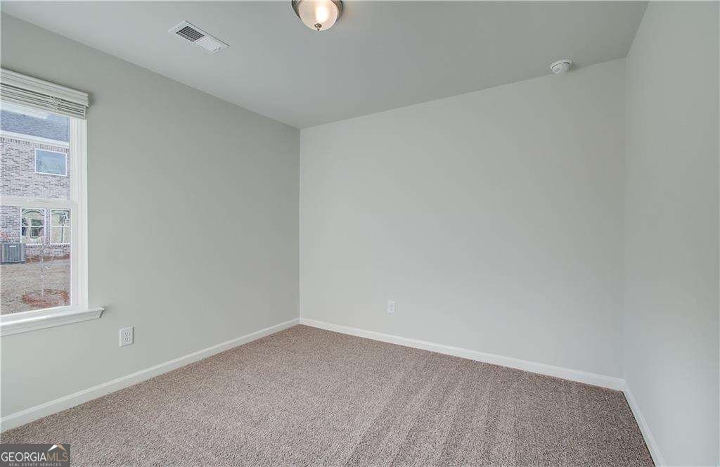 243 Sanctuary Drive Mcdonough - Photo 16