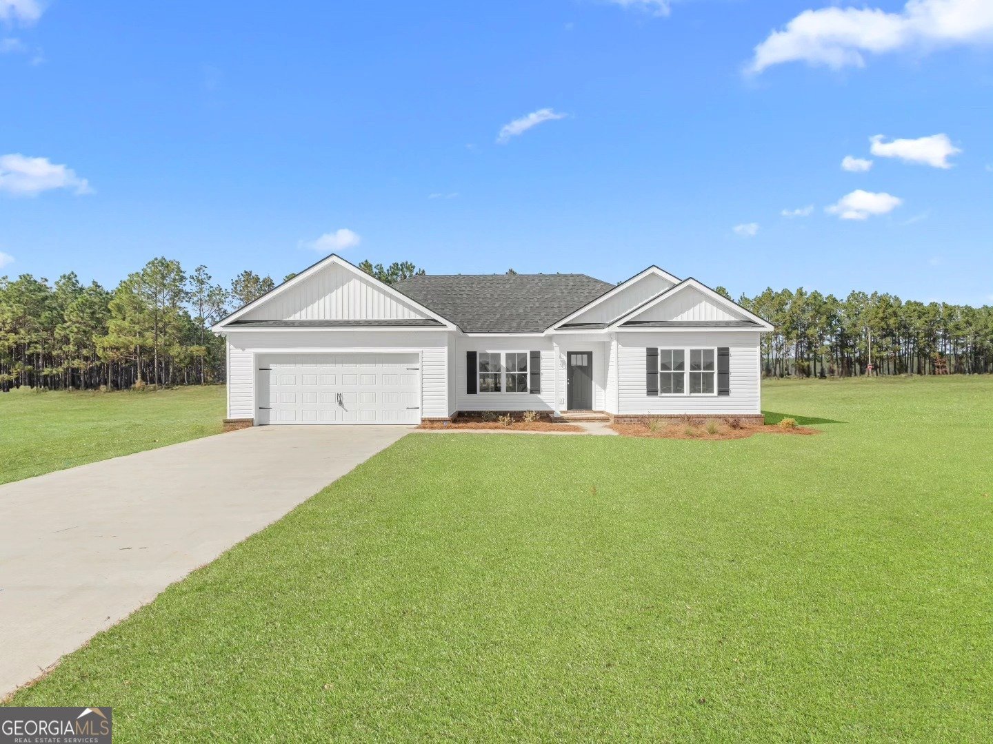 207 Cornerstone Drive Statesboro - Photo 1