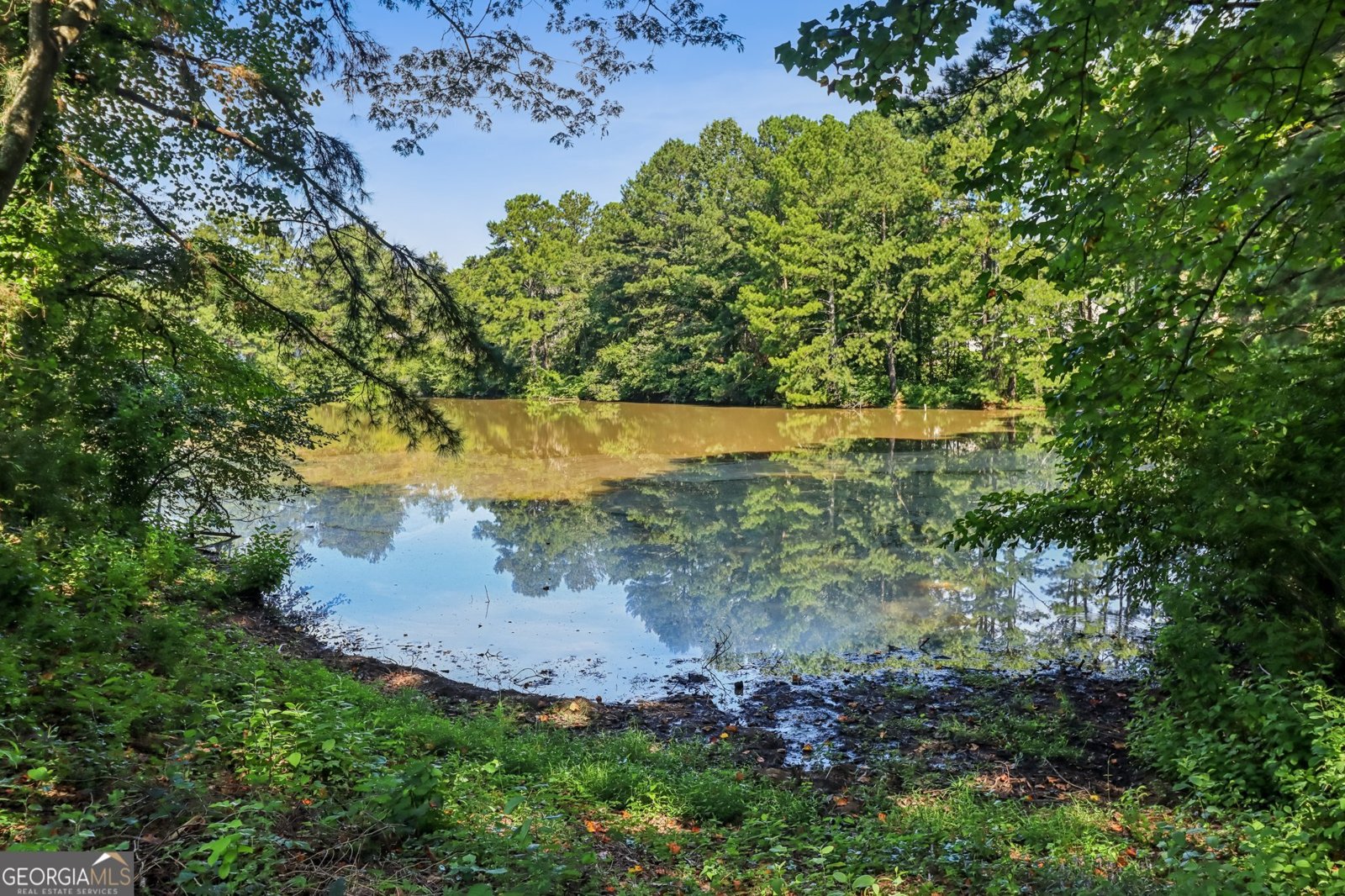 1598 Dillwood Court Lithonia - Photo 27