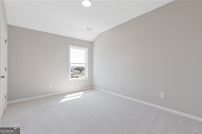 2716 Rylee Carter Street Dacula - Photo 20