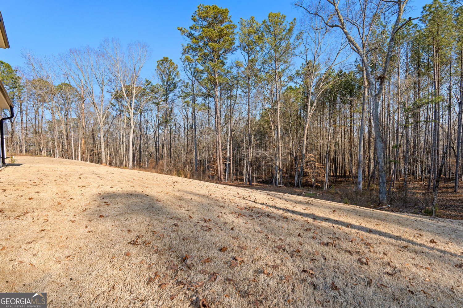 147 Wolf Creek Cove Lagrange - Photo 38