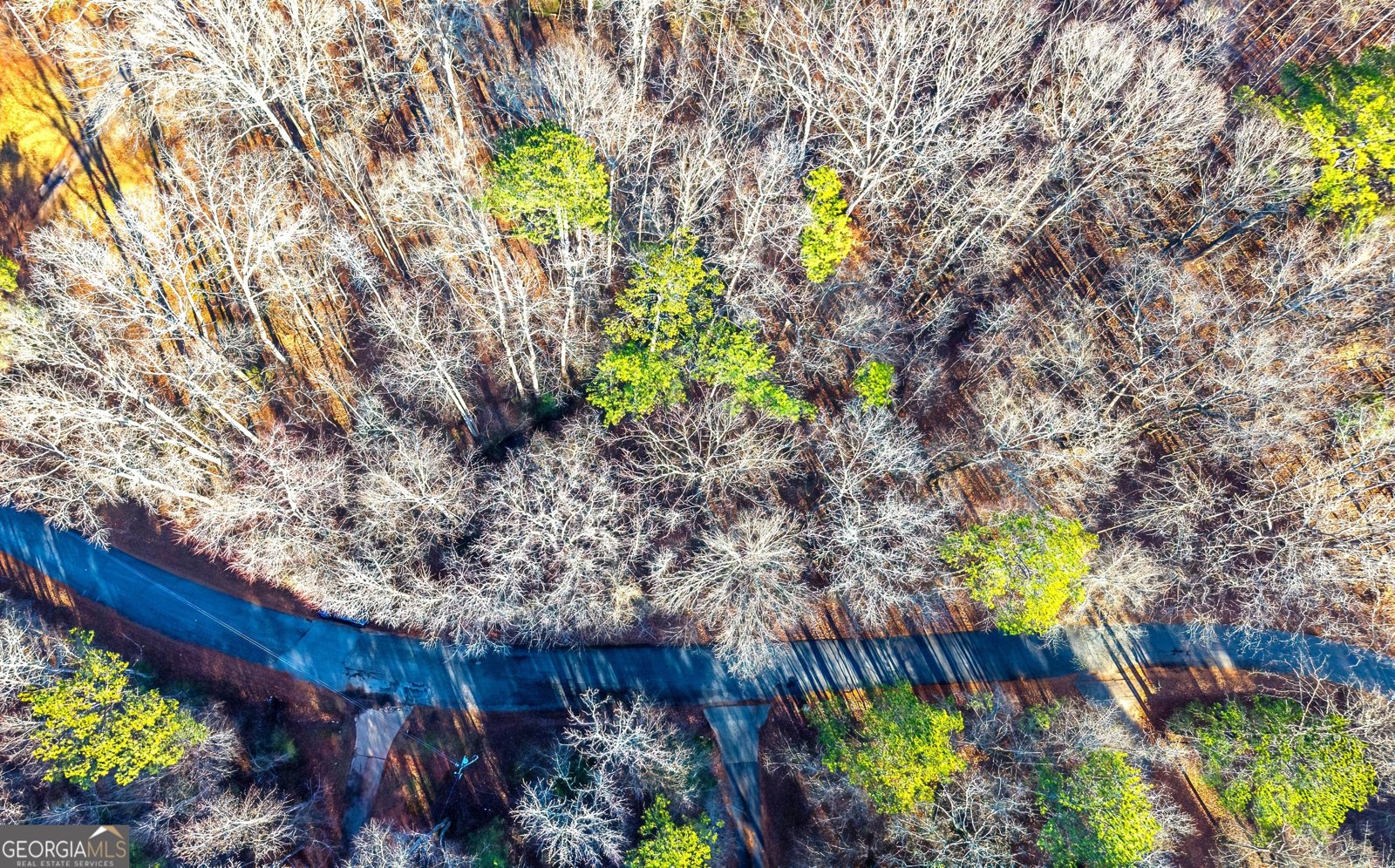 195 Cedar Road Covington - Photo 13