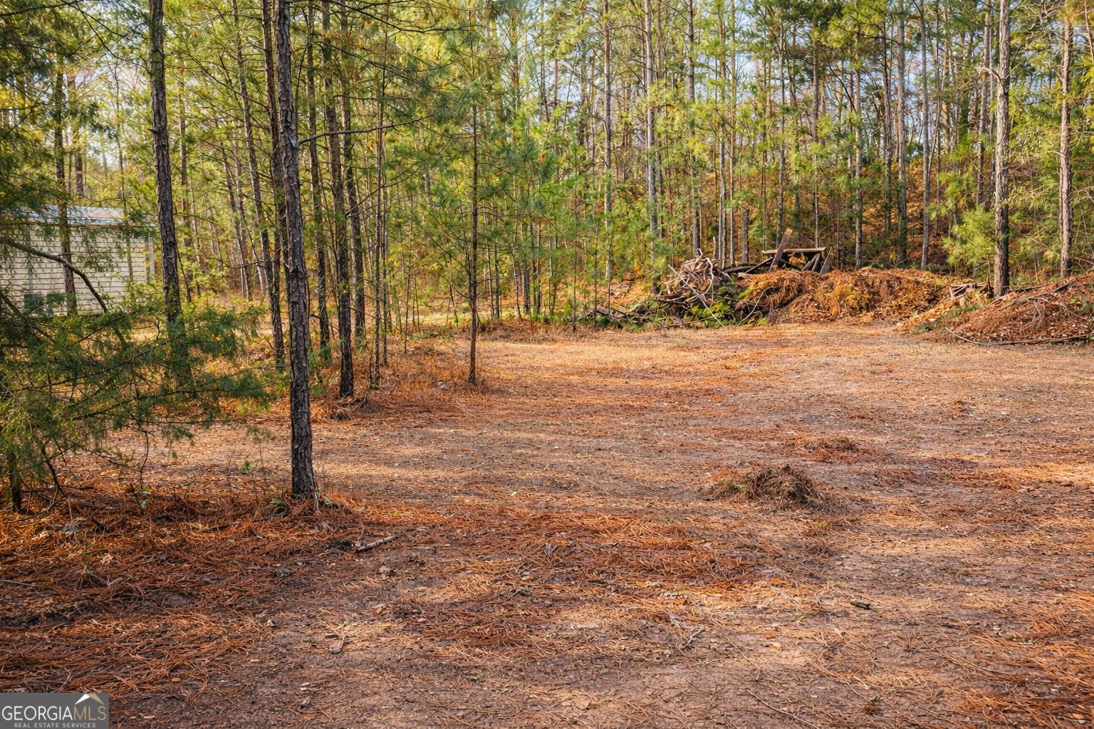 1936 Tanglewood Drive Elberton - Photo 25