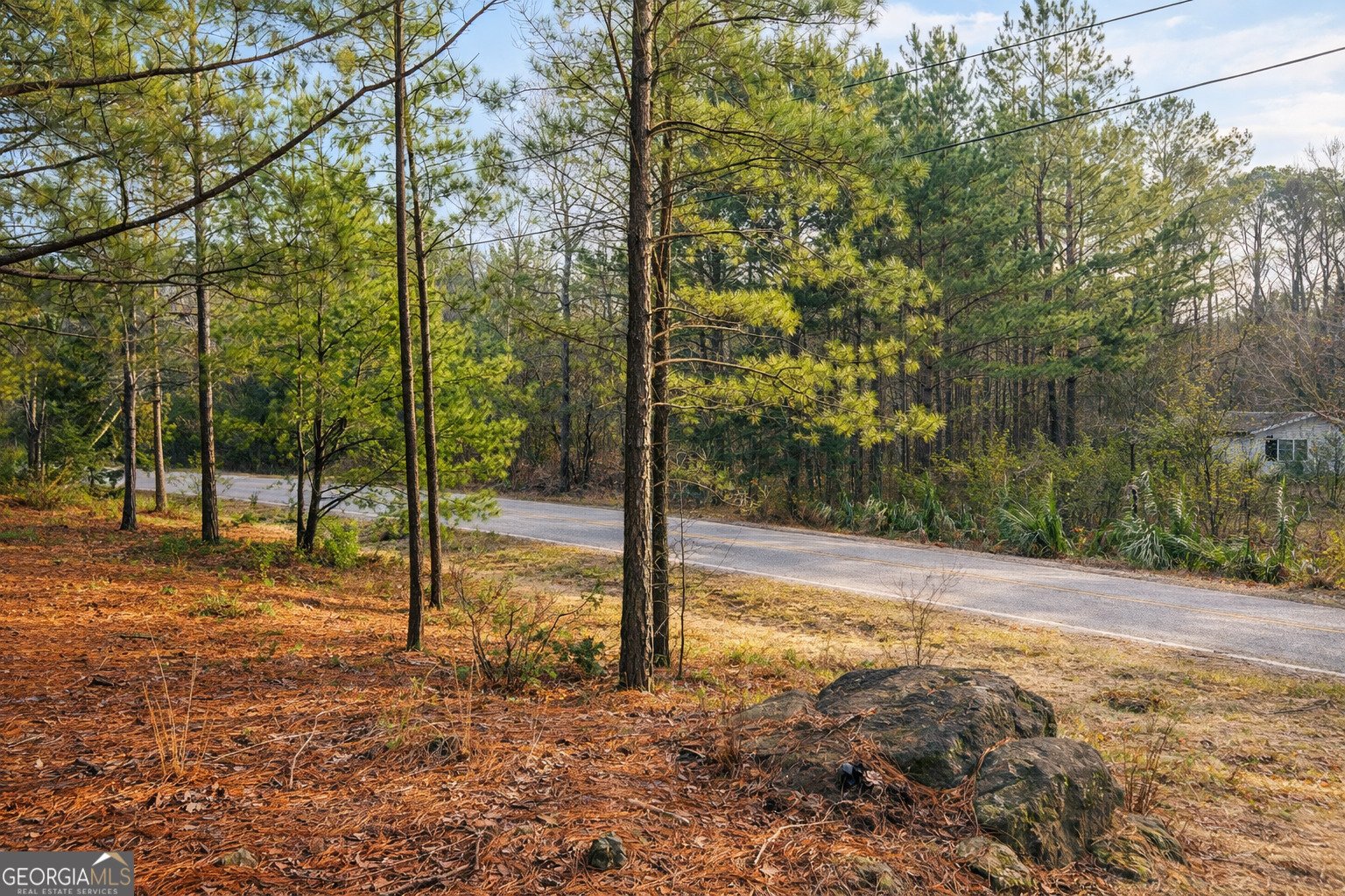 1936 Tanglewood Drive Elberton - Photo 26