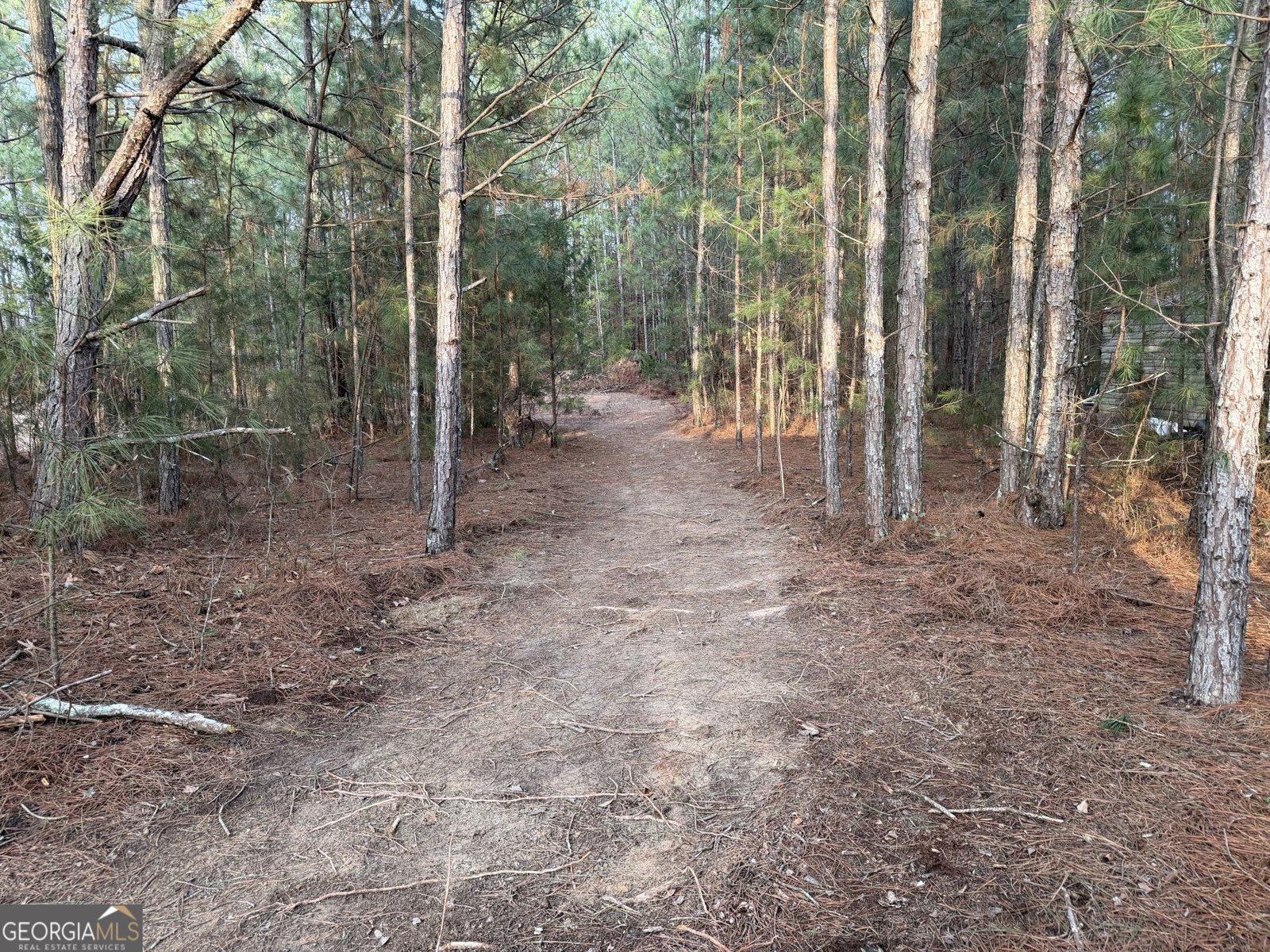 1936 Tanglewood Drive Elberton - Photo 27