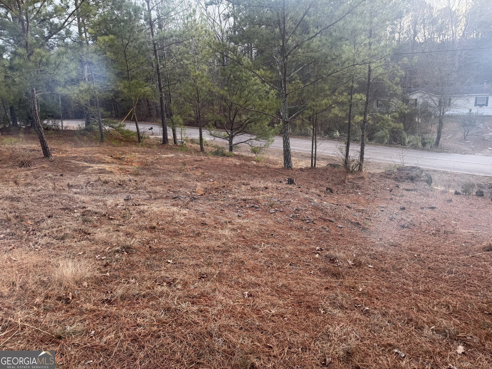 1936 Tanglewood Drive Elberton - Photo 29