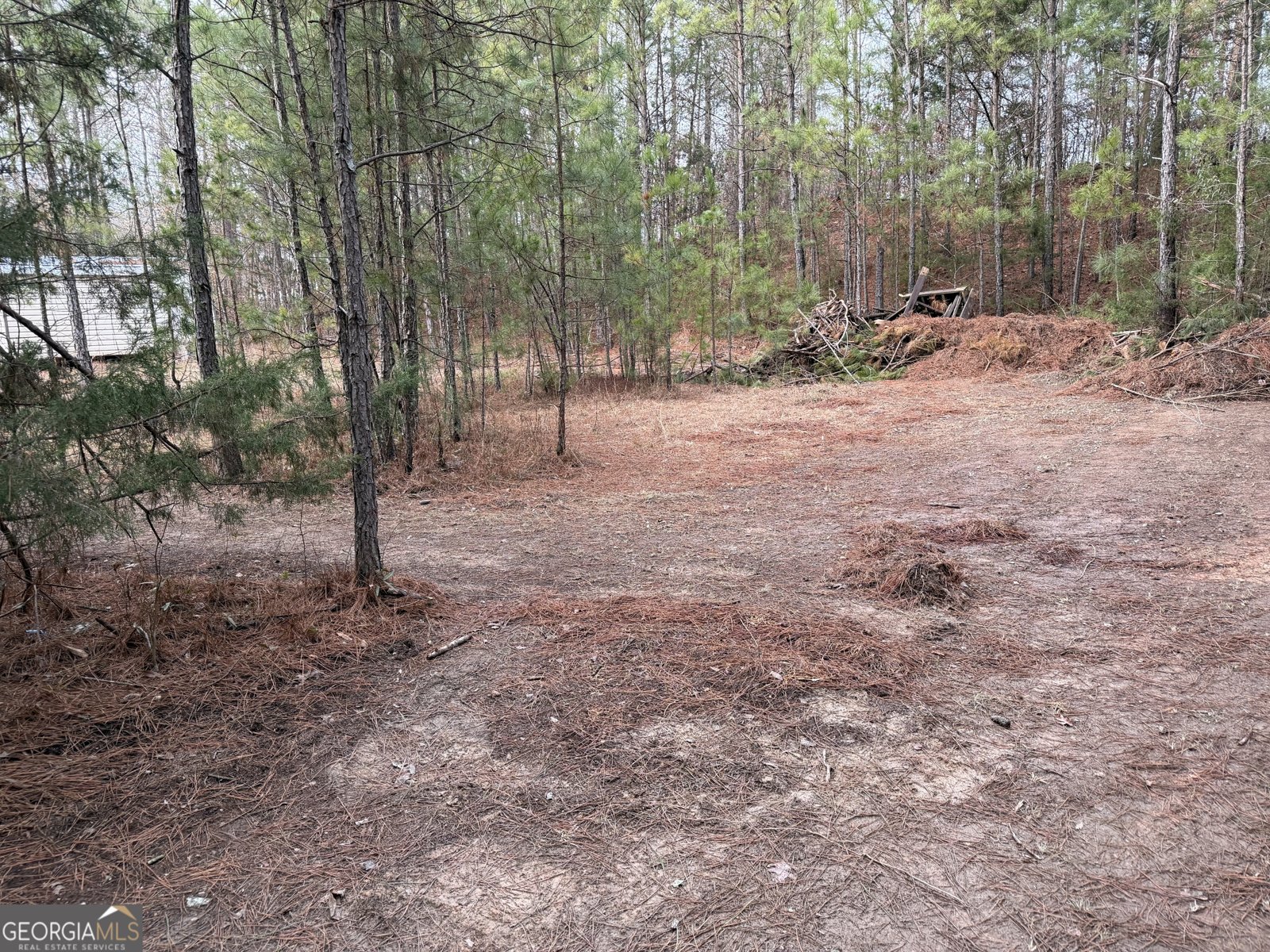 1936 Tanglewood Drive Elberton - Photo 30