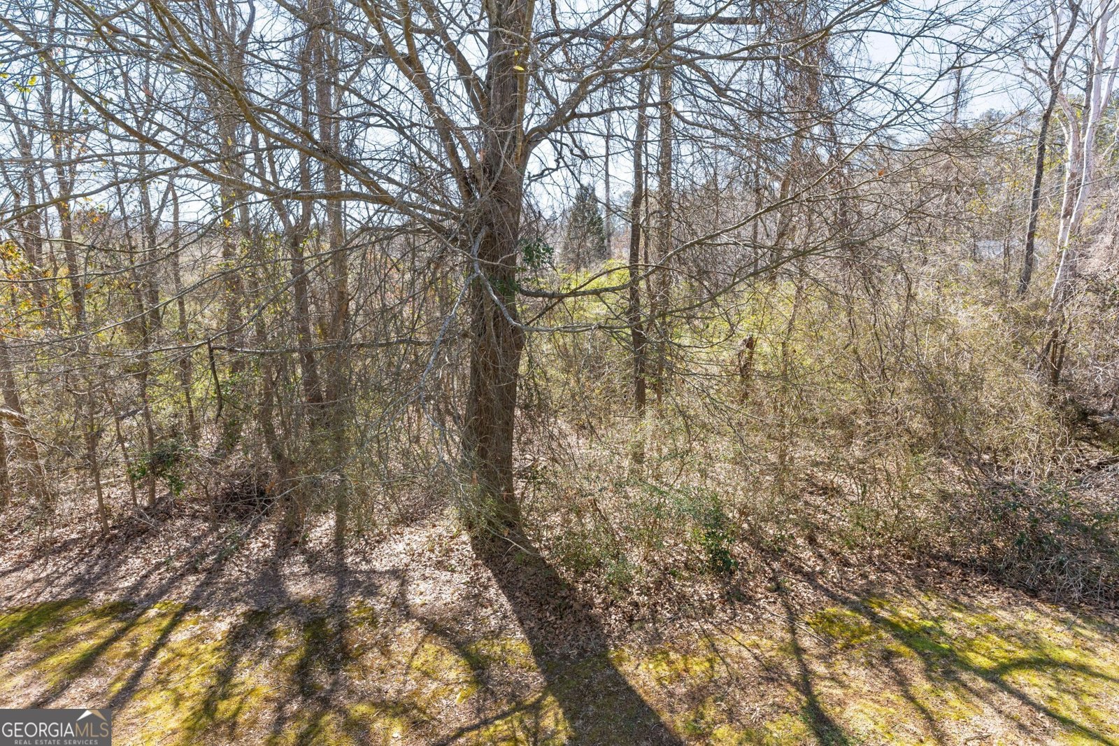 236 Shenandoah Drive Hiram - Photo 34