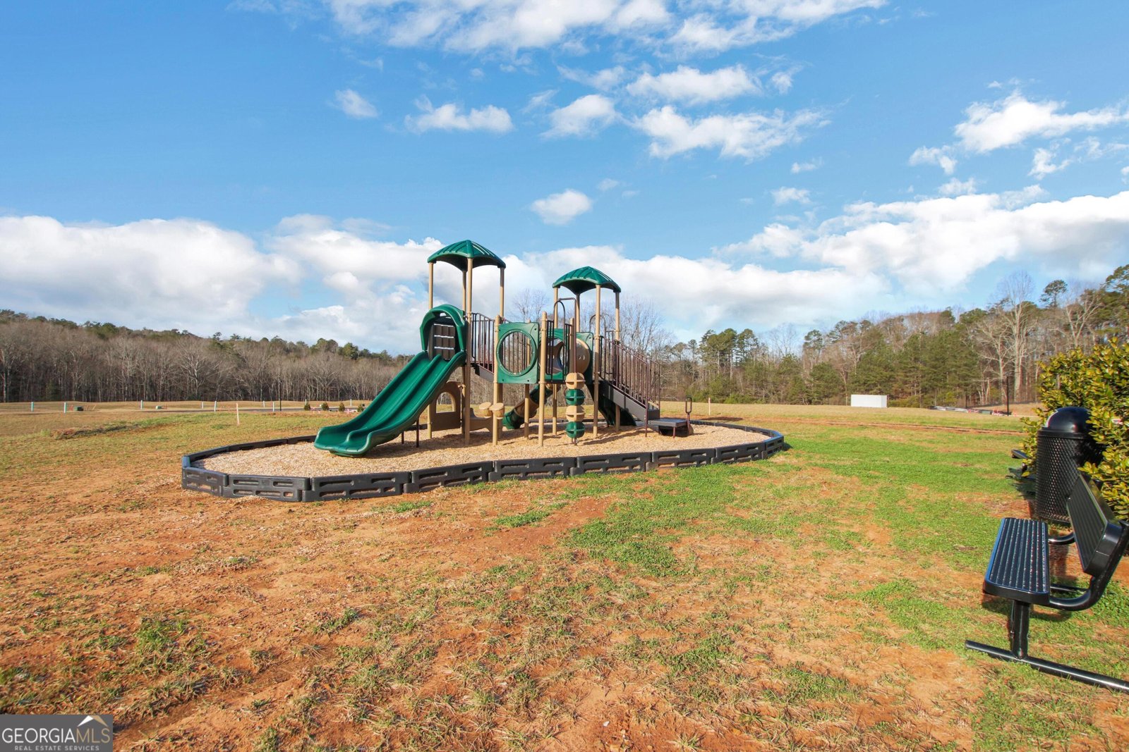 28 Trace Bluff Dawsonville - Photo 46