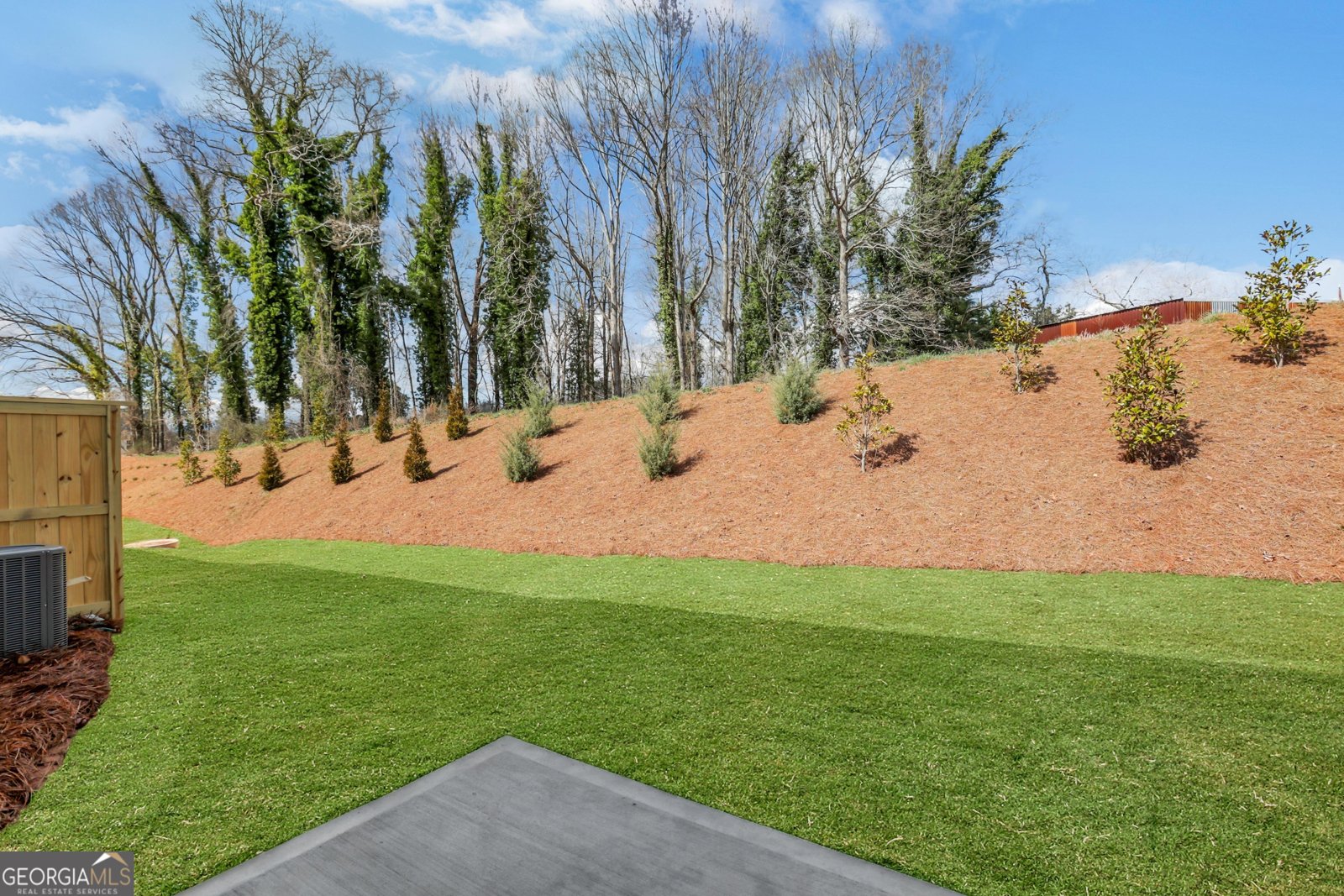 32 Trace Bluff Dawsonville - Photo 38