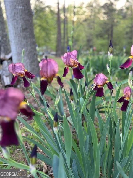 4060 Merritt Drive Cumming - Photo 117