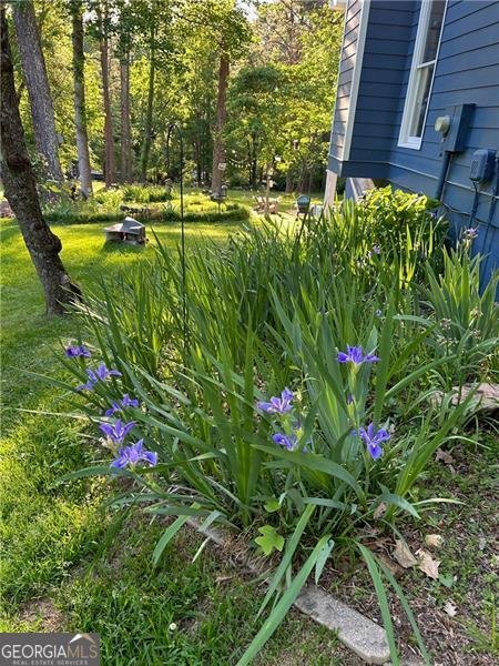 4060 Merritt Drive Cumming - Photo 118