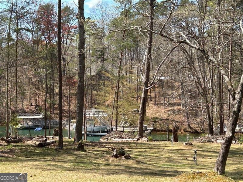 4060 Merritt Drive Cumming - Photo 133