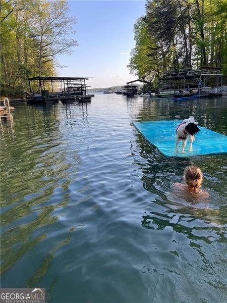 4060 Merritt Drive Cumming - Photo 138