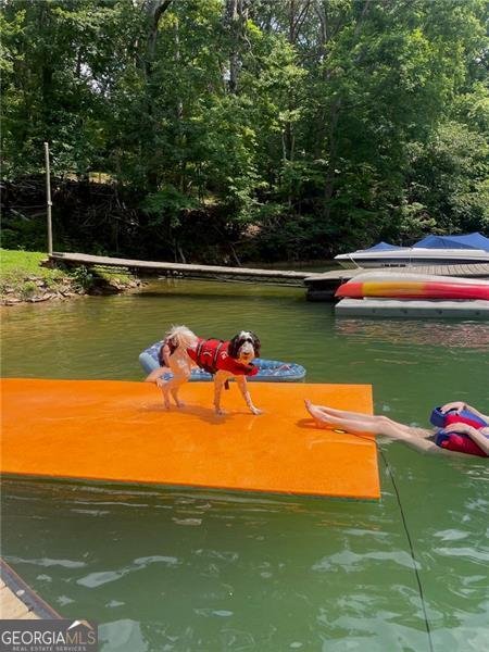 4060 Merritt Drive Cumming - Photo 140