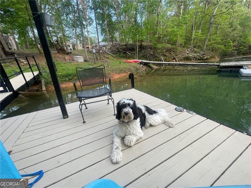 4060 Merritt Drive Cumming - Photo 144