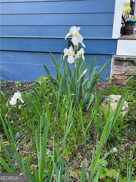 4060 Merritt Drive Cumming - Photo 93