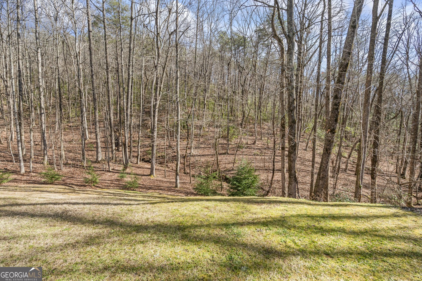 254 Jeb Drive Cleveland - Photo 78