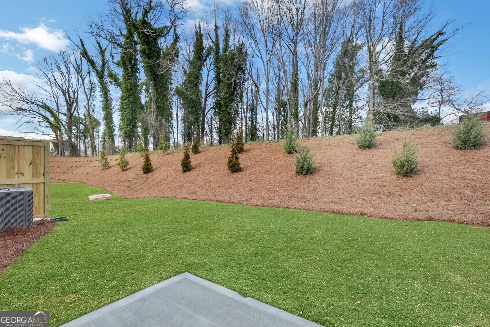 38 Trace Bluff Dawsonville - Photo 38
