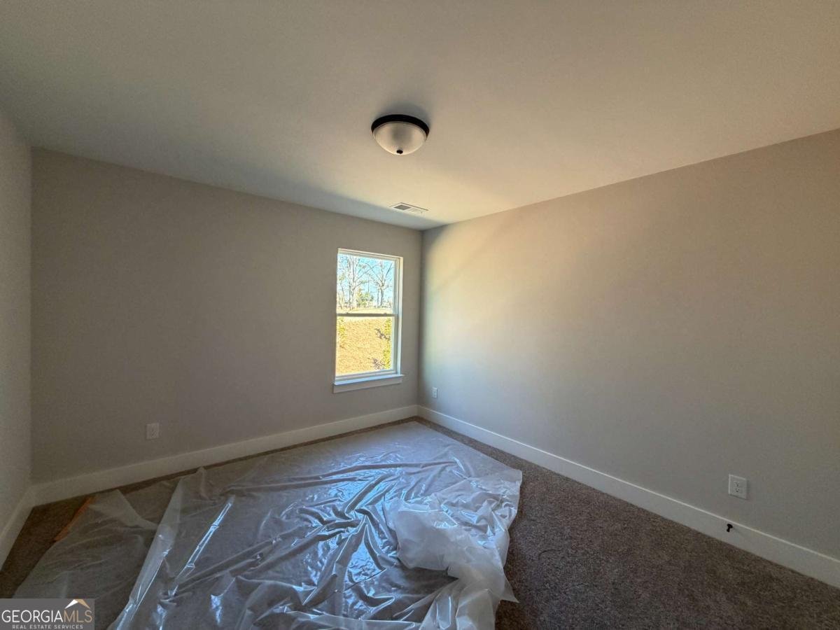 38 Trace Bluff Dawsonville - Photo 8