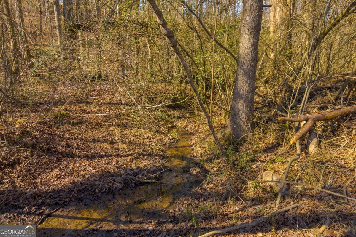 446 Flat Creek Drive Dawsonville - Photo 11